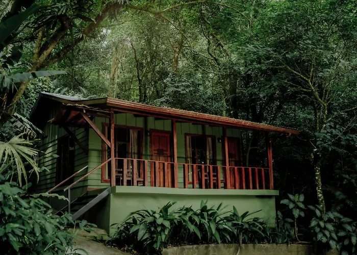 Jaguarundi Jungle Lodge - Monteverde