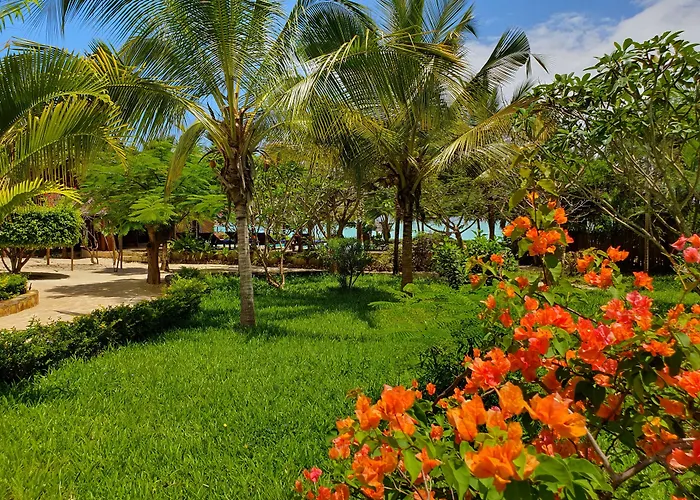 The Zanzibari