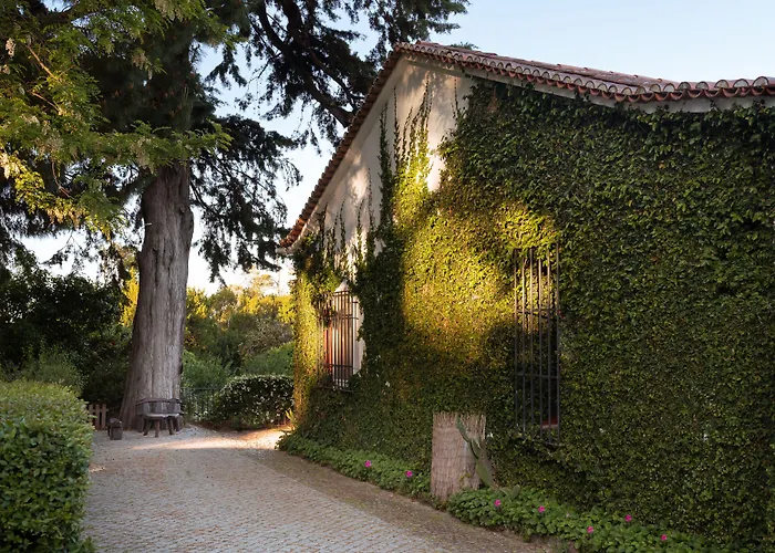 Imani Country House