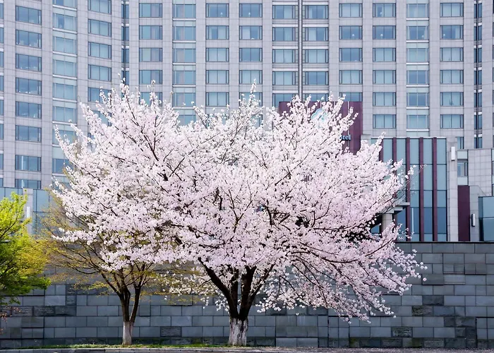 Kempinski Suzhou