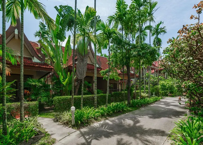 Palm Village
