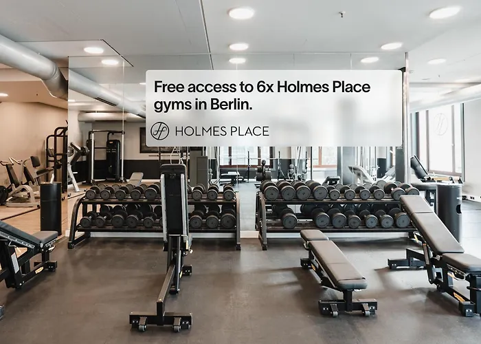 Numa Berlin Kater