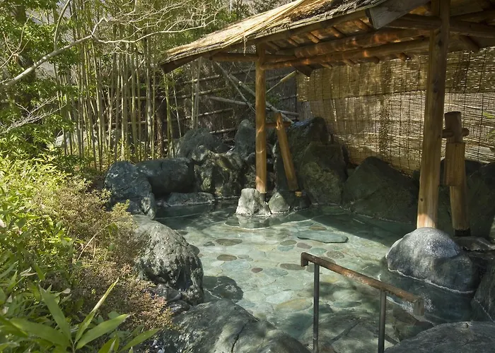 Hotel Nishiyama Onsen Keiunkan Hayakawa