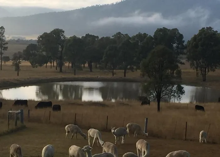 Starline Alpacas Farmstay Resort